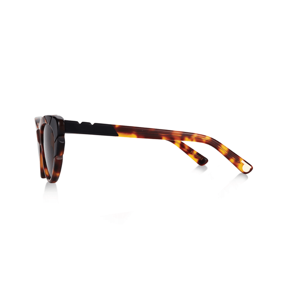 Round & Around / Light Tortoise Black - Shade Files